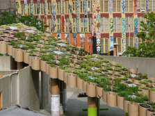 Urban Farm.jpg
